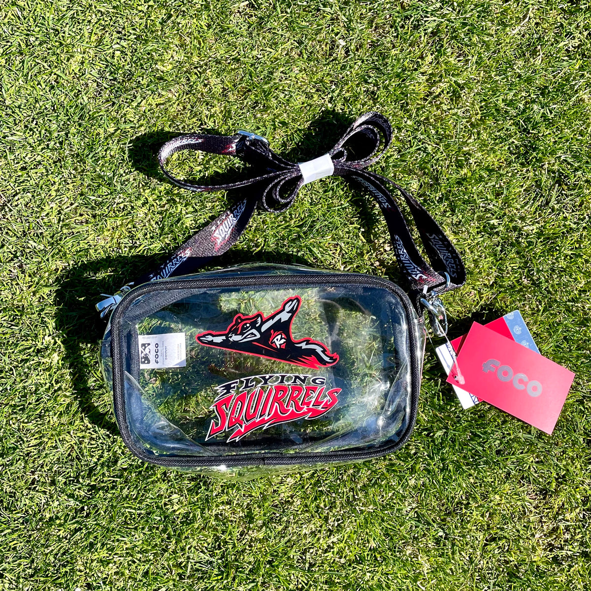 Richmond Flying Squirrels Clear Camera Bag – Richmond Flying Squirrels