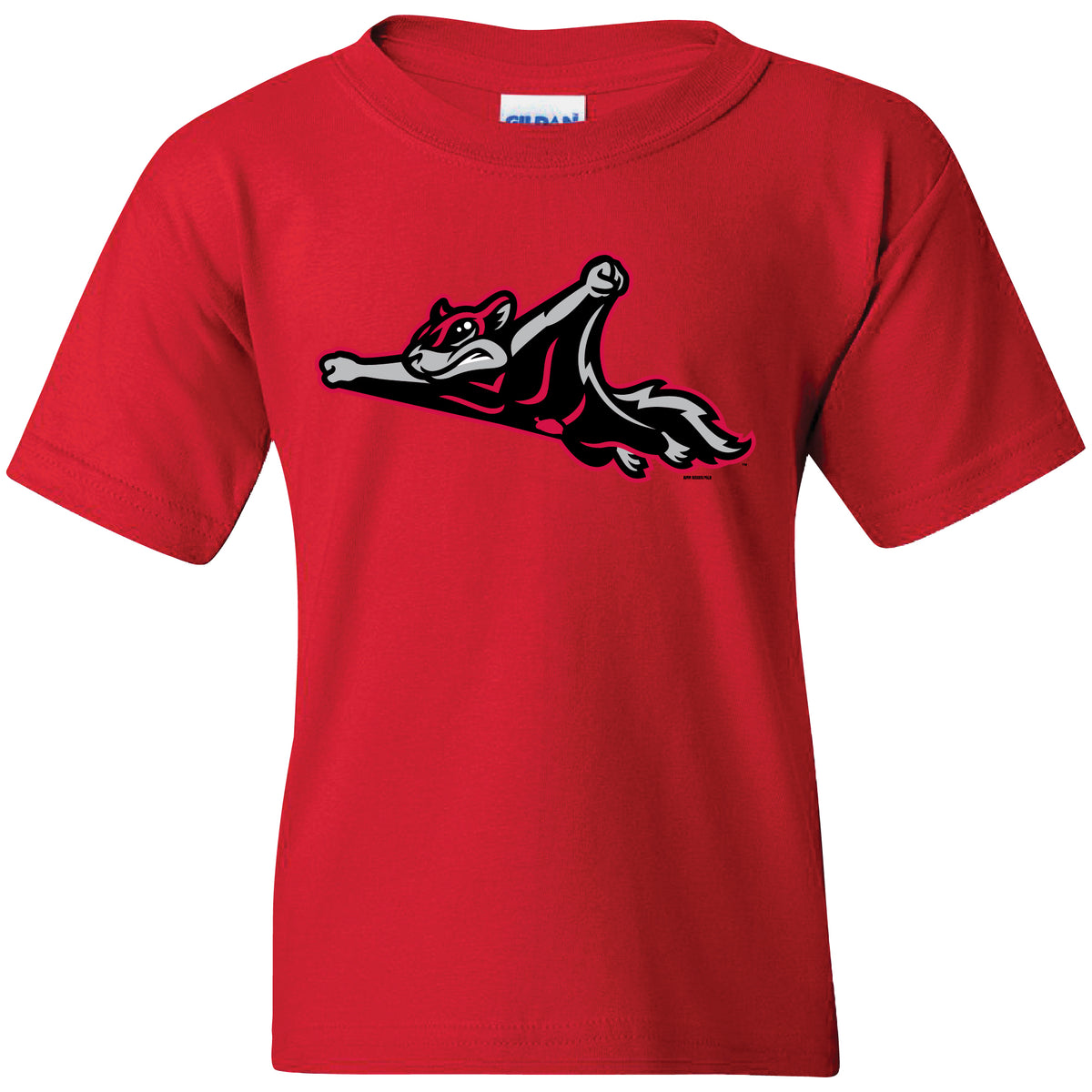 R_FLYING_SQUIRRELS-