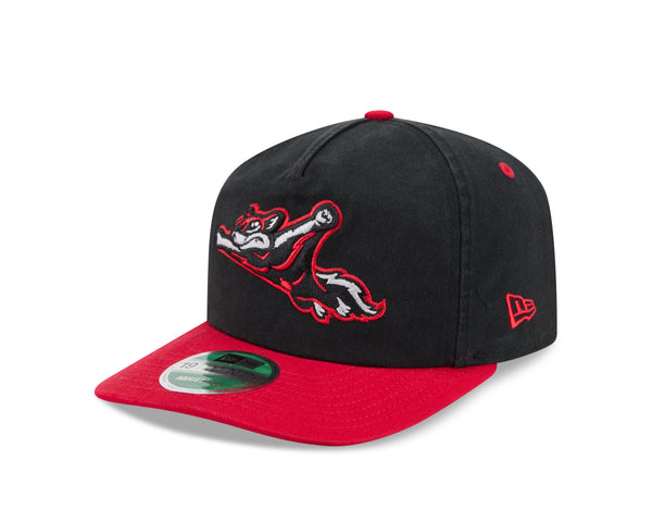 Richmond Flying Squirrels New Era Alt. 19Twenty Cap – Richmond