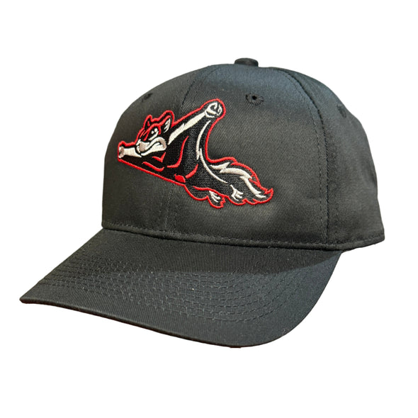 Richmond Flying Squirrels Youth OC Alternate Cap