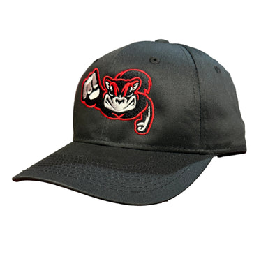 Richmond Flying Squirrels OC Youth Road Cap