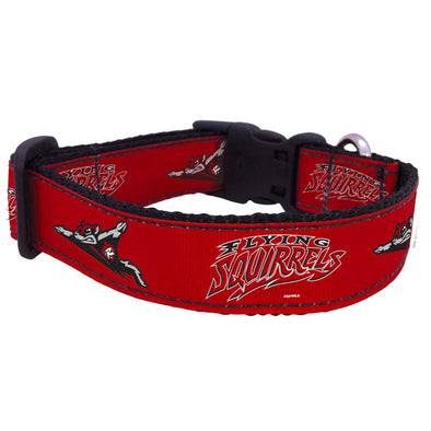 Richmond Flying Squirrels Dog collar