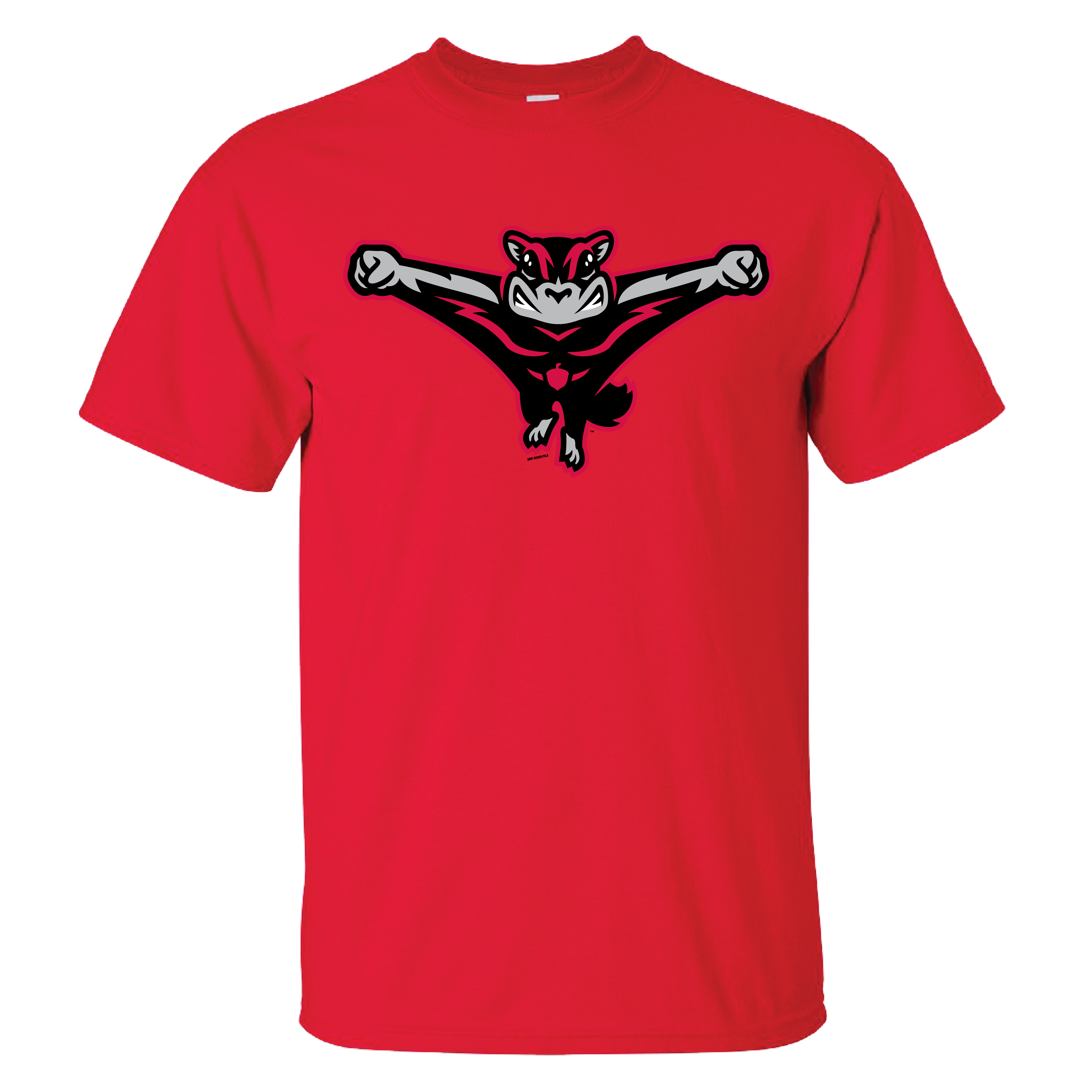 R_FLYING_SQUIRRELS-