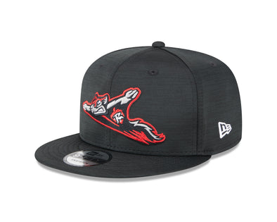 Richmond Flying Squirrels New Era 2023 Clubhouse 9Fifty Snapback Cap